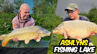 Smashing Up Ashlyns Fishing Lake  Summer Carp Fishing Vlog [upl. by Menell]