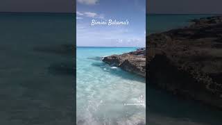 Bimini Bahamas cruise cruiseport biminibahamas beach travel [upl. by Higgs]