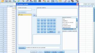 SPSS 19 Prueba de hipótesis para la diferencia de medias caso 2 [upl. by Orion]