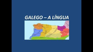 GALEGO  A Língua que Todos Nativos de Português Entendem [upl. by Ynnor995]