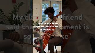 Inner Monologue of a Cellist dvorak classicalmusic cello dvorakcelloconcerto fyp [upl. by Broucek582]