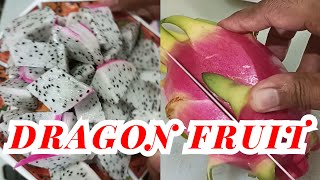 ASMR DRAGON FRUIT SLICING YUMMY satisfying asmr yummy dragonfruit [upl. by Nahem]