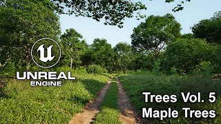 Trees Vol 5  Maple Trees  Unreal Engine 53  Ultra Realistic Wind  BFP 26 unrealengine UE5 [upl. by Ycam]