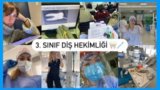 Tüm 3 Sınıf Diş Hekimliği Sürecim Fotoğraflarla 🦷 [upl. by Edla]