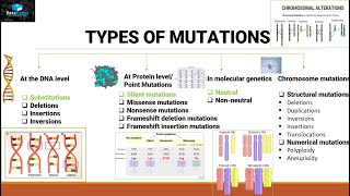 Mutations And Types Of Mutations [upl. by Aikrehs]