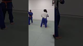 Judo Throws shorts [upl. by Siblee]