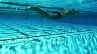 Ozzie Quevedo  The Race Club  Florida Swim Camps [upl. by Aehr]