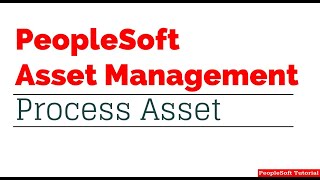 Asset Management Process Asset [upl. by Wenoa]