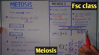 Meiosis  Cell Division  Class 12 Biology [upl. by Ocsirf]