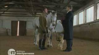 Rex chien flic  Le Cheval Qui Valait Des Millions Extrait [upl. by Nwahsak]