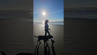 Walking on a beach lifesabeach beachvacation beachlife wesport pnw pnwwonderland boardlife [upl. by Letniuq]