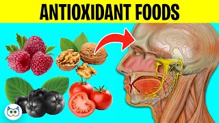 Health Benefits of 9 Antioxidant Foods on Your Body [upl. by Laraine]