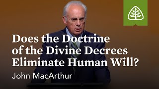 John MacArthur Does the Doctrine of the Divine Decrees Eliminate Human Will [upl. by Shwalb]