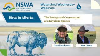 October Webinar  Bison in Alberta with Wes Olsen amp David Bruinsma [upl. by Mccormick805]