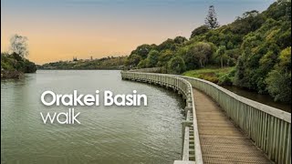 Orakei Basin walkway [upl. by Allez]