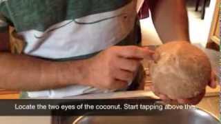 How to Open a Coconut and Grate Using ikamyu A New Guam Coconut Grater [upl. by Lillith]