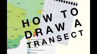 How to draw a Transect  Geo Skills [upl. by Ettelrats]