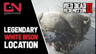 Red Dead Redemption 2  Legendary White Bison Location [upl. by Novek]