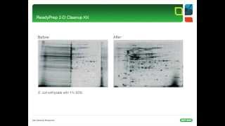 2D Electrophoresis Tips amp Tricks  Part I [upl. by Eignav346]