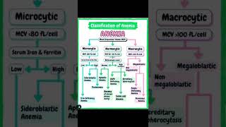 Classification of anaemia [upl. by Ahsauqram]