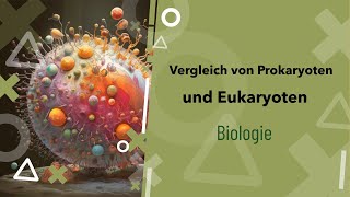 Pro und Eukaryoten im Vergleich Was ist der Unterschied  Zelle  Beispiele  Zellkern [upl. by Dayiz58]