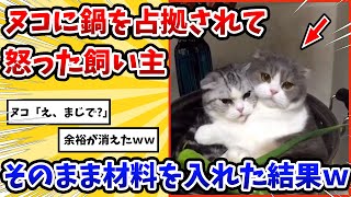 【2ch動物スレ】毎日鍋を占拠するヌコに怒った飼い主→そのまま調理しようとした結果www [upl. by Mcmurry135]