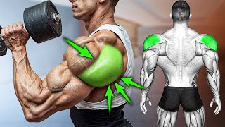 5 BEST Rear Delt Exercise BOULDER SHOULDERS [upl. by Licht]