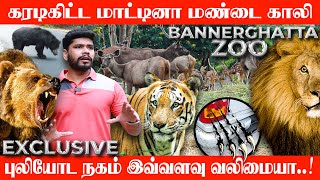 வாகனத்தை வழிமறிக்கும் காட்டு விலங்குகள்Bannerghatta national park thrilling moments full detailed [upl. by Adnorahc]