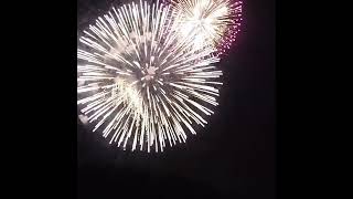 【東海まつり花火大会2024】高音質ダイジェスト 花火 花火大会 fireworks [upl. by Ytsud]