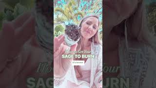 How to Get Your Sage To Burn [upl. by Donela]