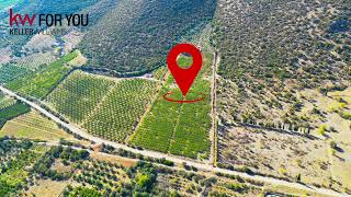 Parcel For sale Spiliotakis Peloponnese Greece [upl. by Asikal]