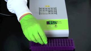 Alu PV92 Detection by PCR [upl. by Dias]