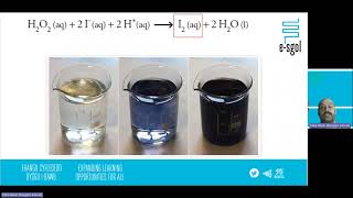 Iodine Clock Reaction [upl. by Elleinnod537]