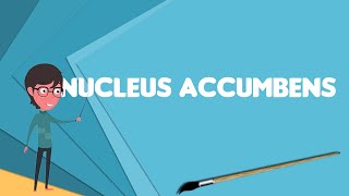 What is Nucleus accumbens Explain Nucleus accumbens Define Nucleus accumbens [upl. by Linea350]