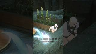 FFXIV  Things You Might Have Missed A Manderville in Mor Dhona featuring Ruby [upl. by Elag]