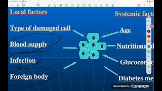 Repair Pathology [upl. by Kylstra523]