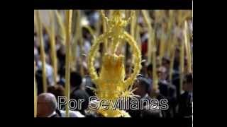 Domingo Ramos en Sevilla  Sevillanas de Paqui Serrano y CharlySdePichardo [upl. by Arytas]