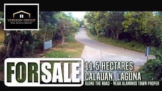 Lot For Sale 115 hectares in Calauan Laguna  VerizonPH Properties [upl. by Blaire547]