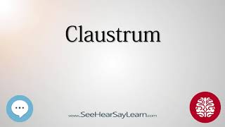 Claustrum Anatomy of the Brain SeeHearSayLearn 🔊 [upl. by Sharona]