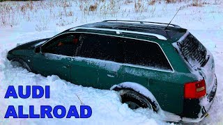 AUDI Allroad когда тараканы аплодируют стоя [upl. by Reilly]