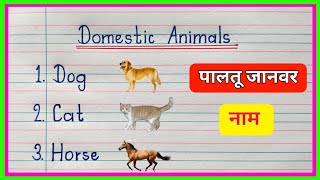 पालतू जानवरों का नाम  Domestic animals name in English  10 Pet Animals Name in English and Hindi [upl. by Jan]