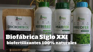 Biofábrica Siglo XXI Biofertilizantes 100 naturales [upl. by Aynatan5]