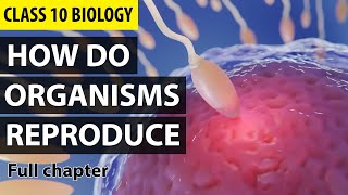 How Do Organisms Reproduce Class 10 Full Chapter Animation  Class 10 Science Chapter 8  NCERT [upl. by Mitzl452]