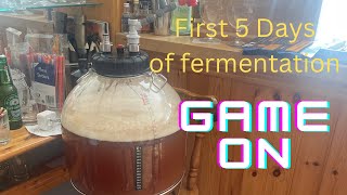 FERMZELLA 30ltr first 5 days of fermentation and problem solving  setting your spunding valve [upl. by Leahcimnaj918]