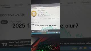 2025 fiyat tahminleri sizcepara borsa kiripto dogecoin bitcoin 2025 2026 2027 2028 2029 [upl. by Ognimod]