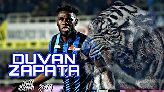 Duvan Zapata 2019 ● Skills ● Atalanta  HD [upl. by Mohammed]