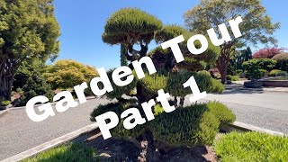 Conifer Garden Tour Iseli Nursery part 1  Bonsai Starts and Specimens  Japanese Landscape Design [upl. by Chenee]