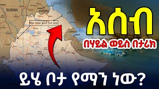 ያልተሰማው እውነታ አሰብ በሃይል ወይስ በታሪክ Asab Navigating the Right to Access the Sea betehabeshaofficial [upl. by Elnar]