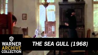 Preview Clip  The Sea Gull  Warner Archive [upl. by Ainesell578]