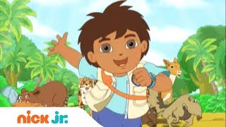 Go Diego Go  Música de abertura 🎤  Nick Jr [upl. by Laks]